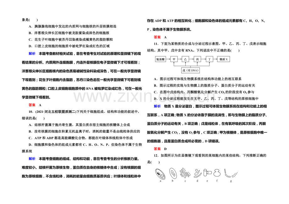 2022届高考（新课标）生物总复习：计时双基练6（Word版含解析）.docx_第3页