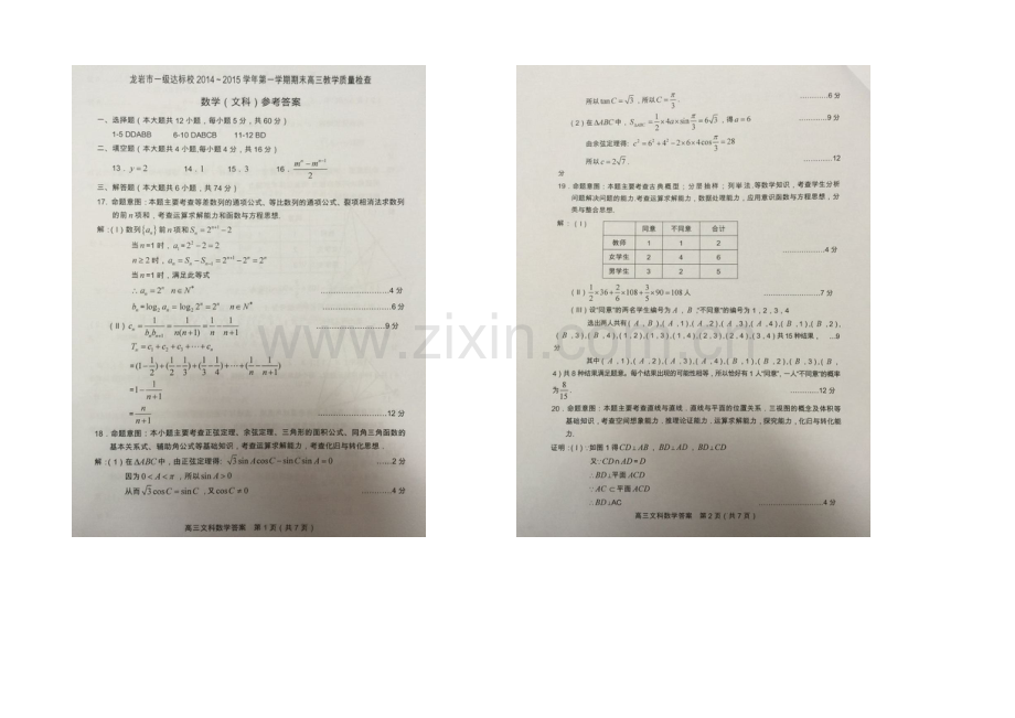 福建省龙岩市一级达标校2021届高三上学期期末质量检查数学(文)试卷-扫描版含答案.docx_第3页