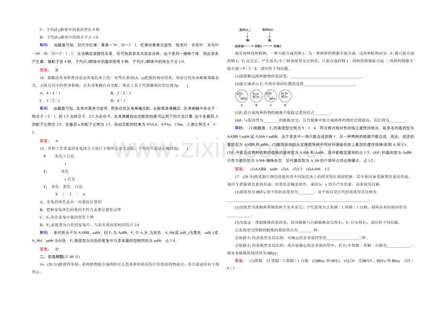 《金版新学案》高中生物(必修二)新课标同步练习-阶段质量评估1.docx_第3页