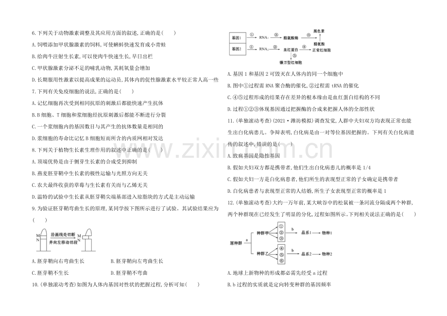 【2021年备考】广东2020版高中生物《复习方略》阶段滚动检测(五)Word版含解析.docx_第2页