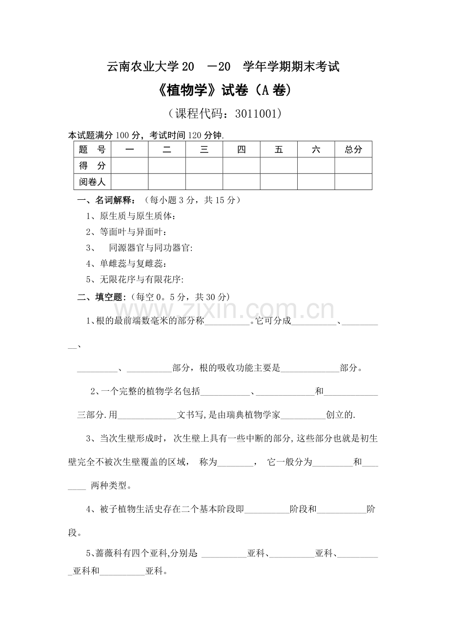 植物学模拟试卷及答案.doc_第1页