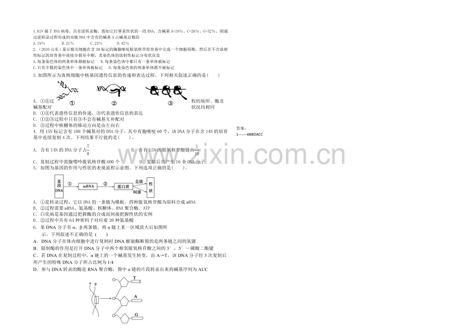 【全国百强校】山西省忻州市第一中学高三生物第二轮复习预习案：专题六-基因结构与功能-.docx_第3页