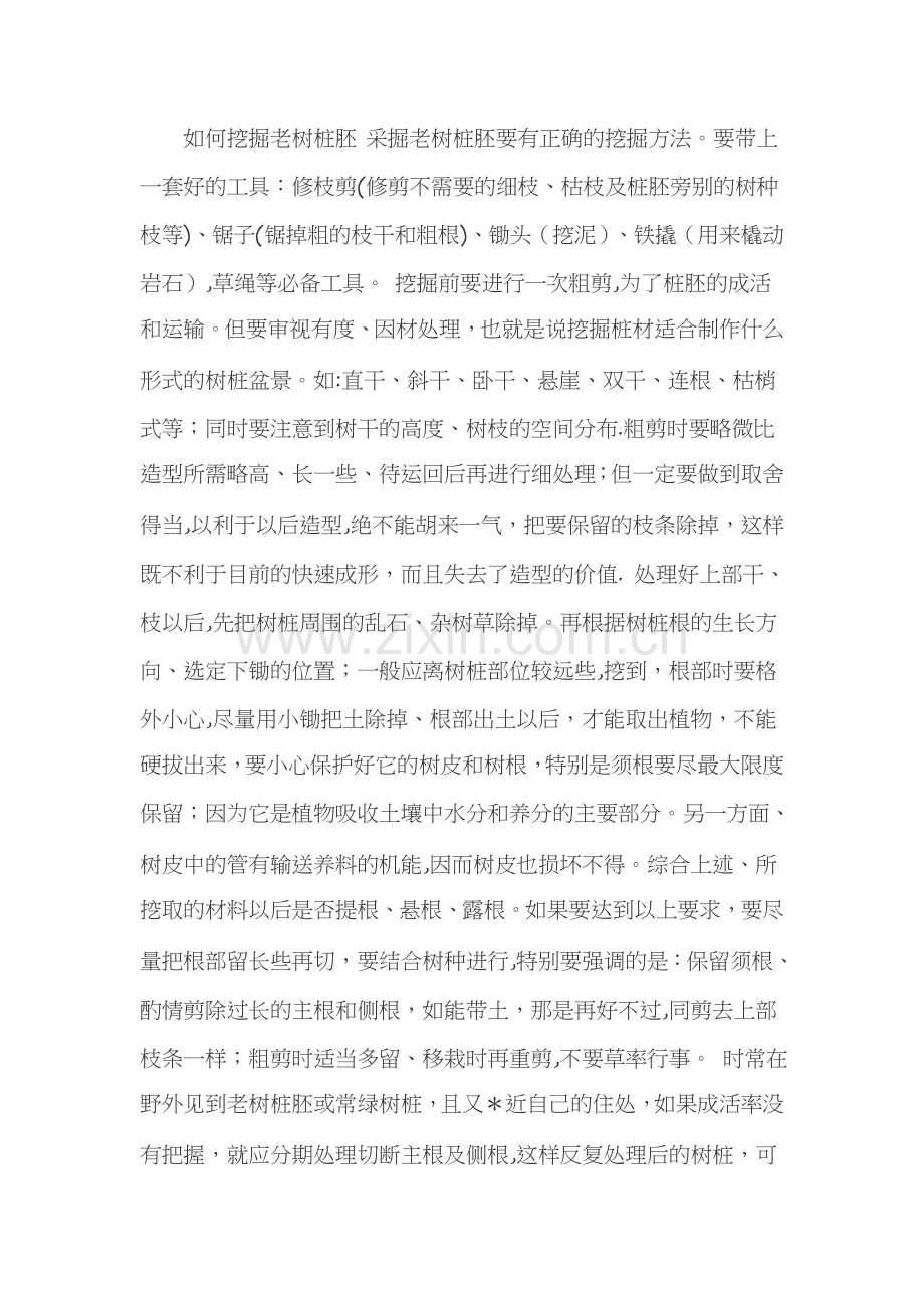 如何挖掘老树桩胚及树桩盆景的栽培和管理.doc_第1页