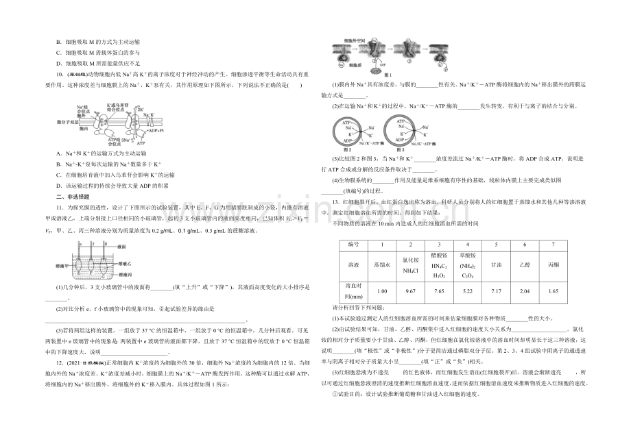 2022届高三生物一轮复习课时跟踪检测(七)-物质跨膜运输的实例和方式-.docx_第2页