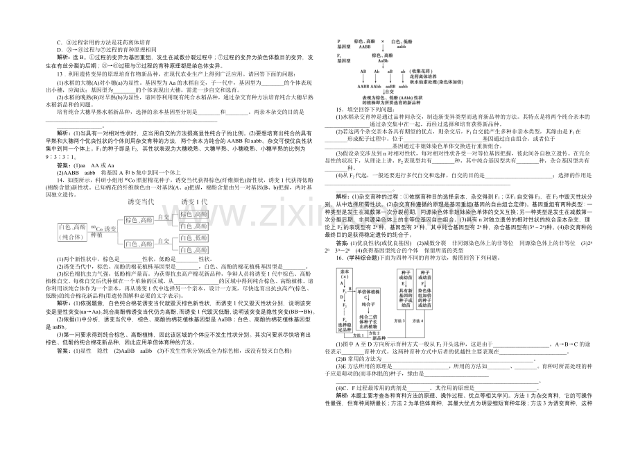 2020-2021学年高一生物(必修2)第六章第1节课时作业-.docx_第2页