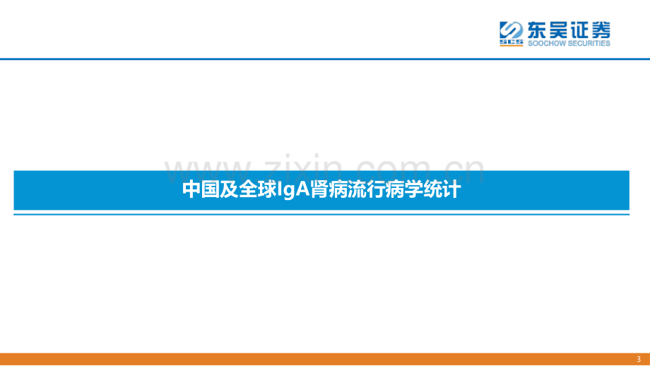 2022年IgA肾病治疗中创新药的竞争格局分析.pdf_第3页