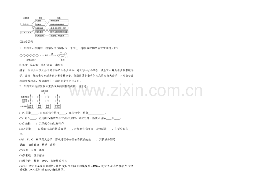 2022年高三生物(人教版)一轮复习-基础课时案4-核酸、糖类和脂质-基础回顾.docx_第2页