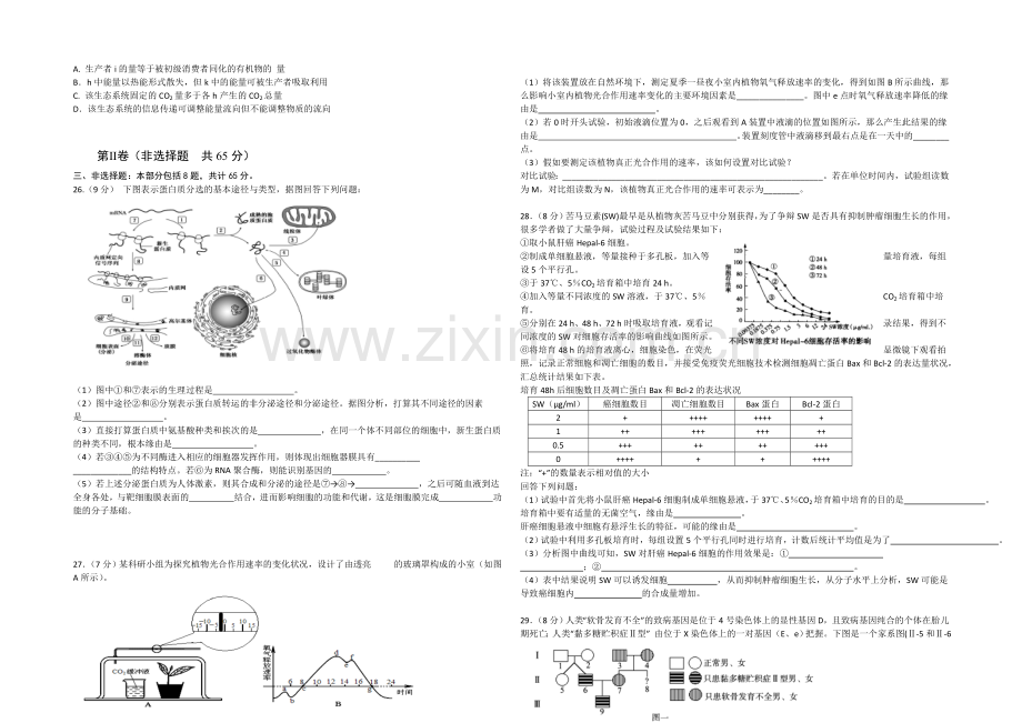 江苏省宿迁市三校2021届高三下学期3月质量检测-生物-Word版含答案.docx_第3页