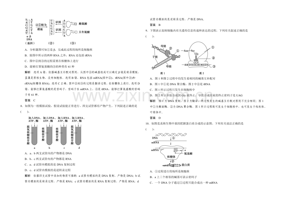 2021高考生物(全国通用)二轮专题训练：3-1-遗传的分子基础(含解析).docx_第3页