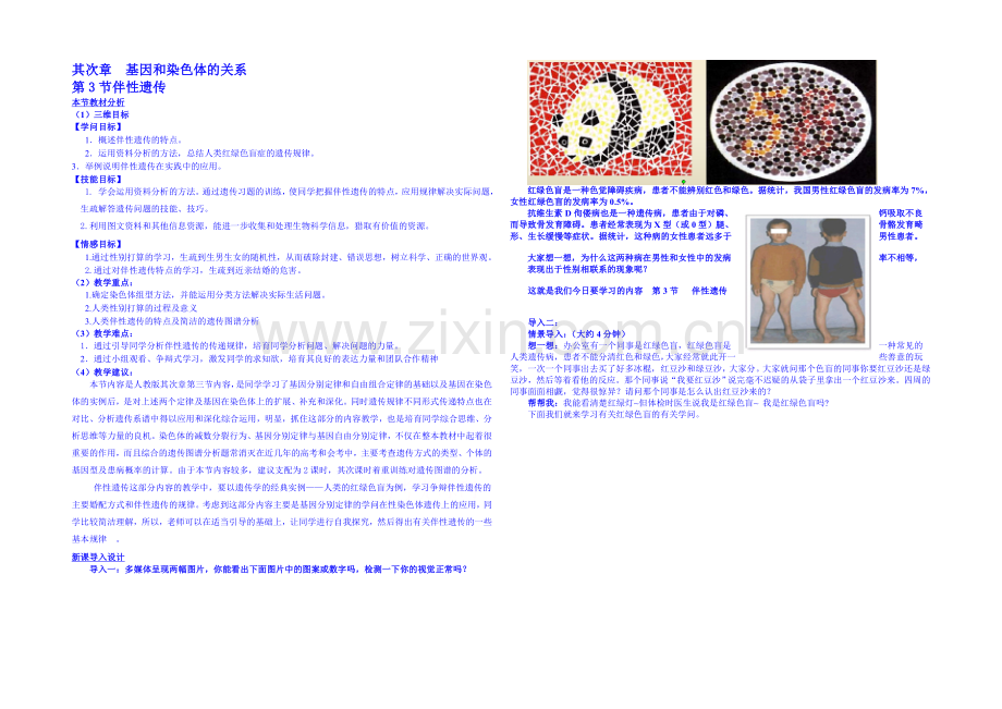 2013-2020学年高一下学期生物必修2教案-第二章第3节Z2.docx_第1页