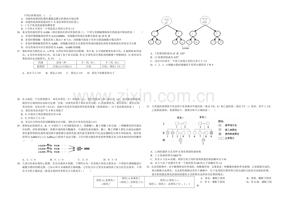 新课标Ⅱ第二辑2022届高三上学期第四次月考-生物-Word版含答案.docx_第3页