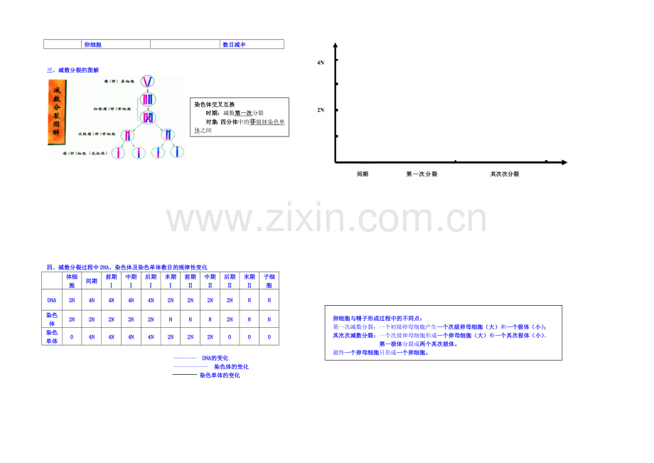 2013-2020学年高一下学期生物必修2学案-第二章第1节.docx_第3页