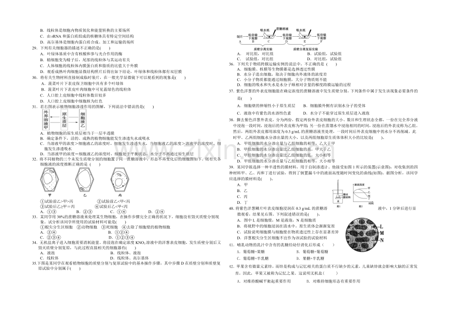 吉林省长春市十一中2021-2022学年高一上学期期中考试-生物-Word版含答案.docx_第3页