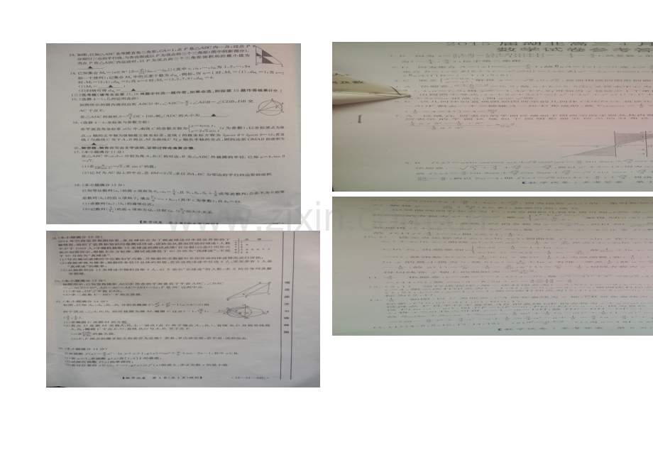 湖北省2021届高三下学期4月仿真考试理科数学试题扫描版含答案.docx_第2页