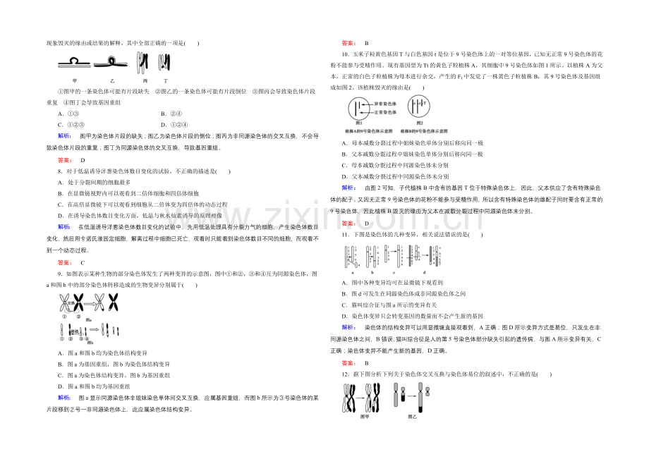 《金版新学案》高中生物(必修二)新课标同步练习-课时作业13.docx_第2页