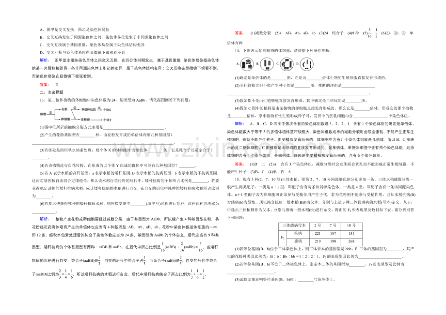 《金版新学案》高中生物(必修二)新课标同步练习-课时作业13.docx_第3页