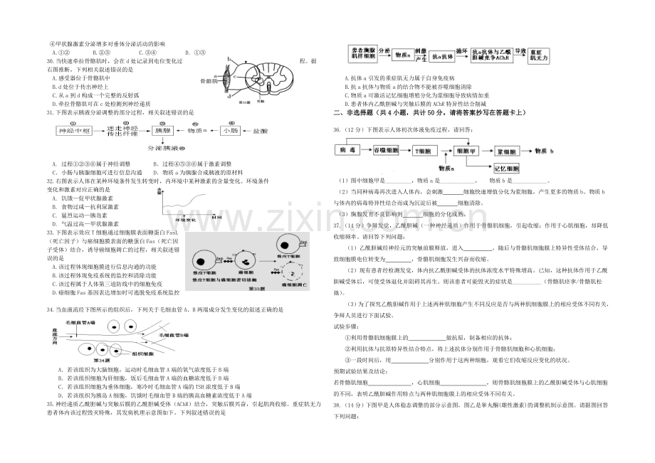 福建省泉港一中2020-2021学年高二年上学期期末考试生物试卷-Word版含答案.docx_第3页