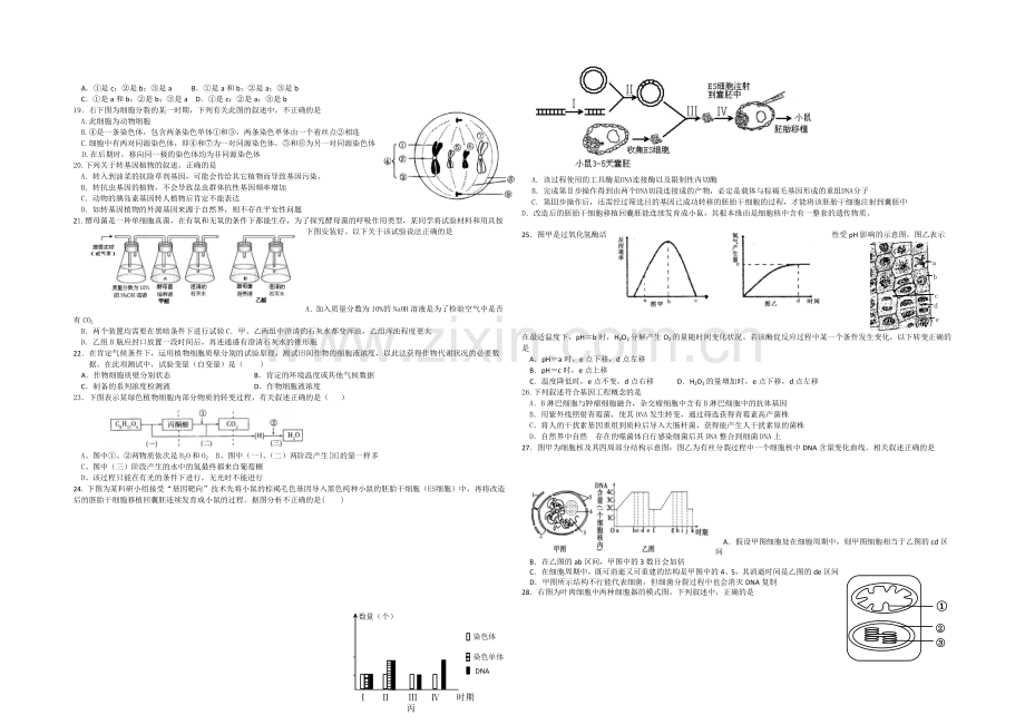 2021年高考生物小题专练系列20-Word版含答案.docx_第2页