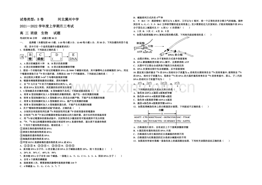 河北省衡水市冀州中学2022届高三上学期第三次月考生物试题B卷-Word版含答案.docx_第1页