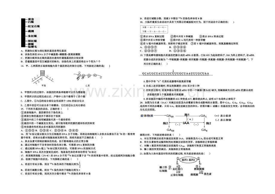 河北省衡水市冀州中学2022届高三上学期第三次月考生物试题B卷-Word版含答案.docx_第2页