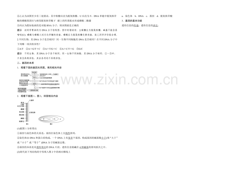 2022年高三生物(人教版)一轮复习-基础课时案18-DNA的结构及基因的本质-基础回顾.docx_第2页