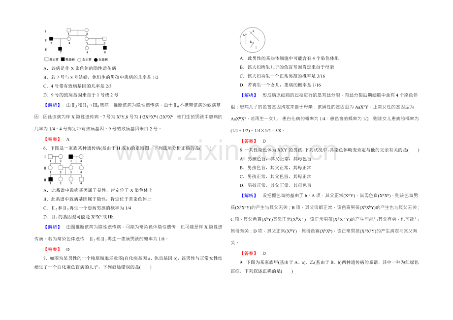 2022新课标高考生物总复习限时检测16基因在染色体上和伴性遗传-.docx_第2页