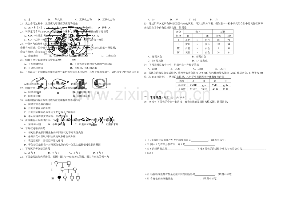 江苏省泰州市姜堰区2020-2021学年高一上学期期末考试-生物-Word版含答案.docx_第2页