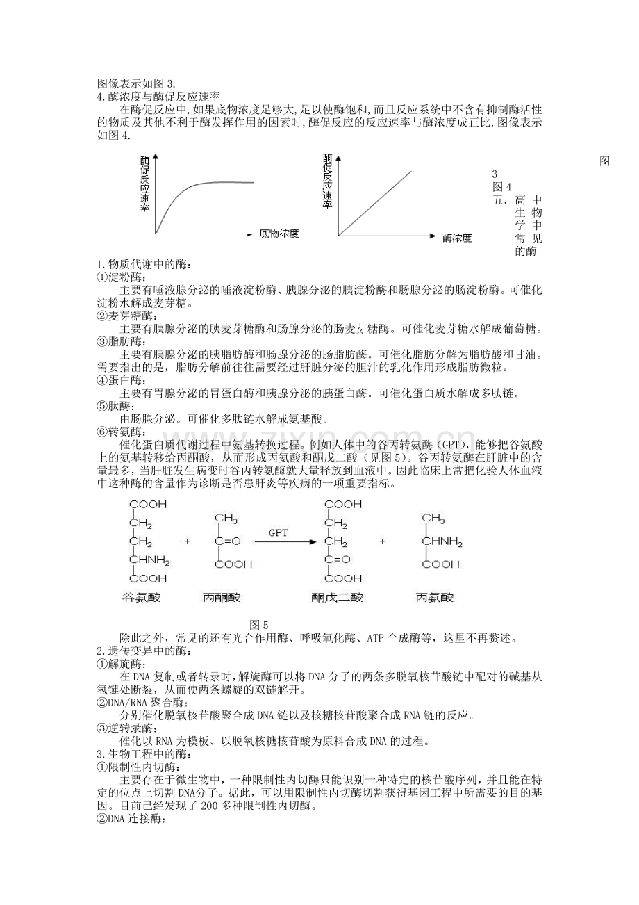 高中生物中酶知识的梳理与整合教学内容.doc_第2页