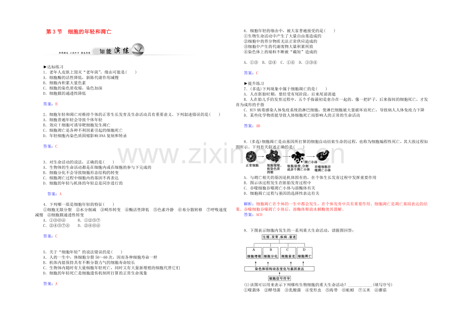 2021高一生物知能演练：第6章-第3节-细胞的衰老和凋亡(人教版必修1)-.docx_第1页