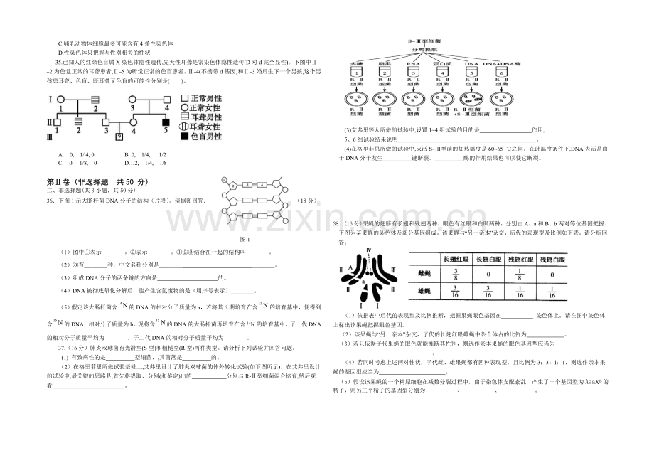 福建省连城一中2020-2021学年高二上学期第三次月考生物-Word版含答案.docx_第3页