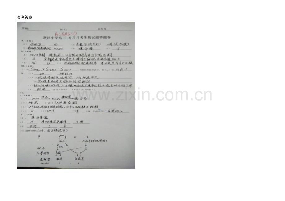 四川版2022届高三上学期第二次月考-生物-Word版含答案.docx_第3页