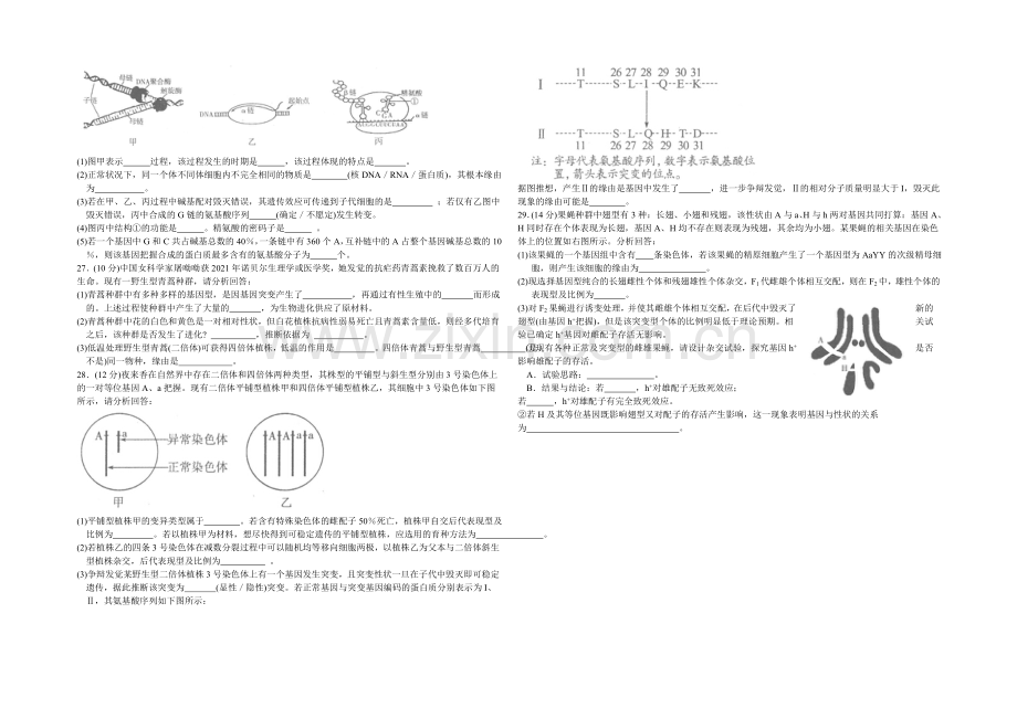 山东省德州市2022届高三上学期期中考试生物试题-Word版含答案.docx_第3页