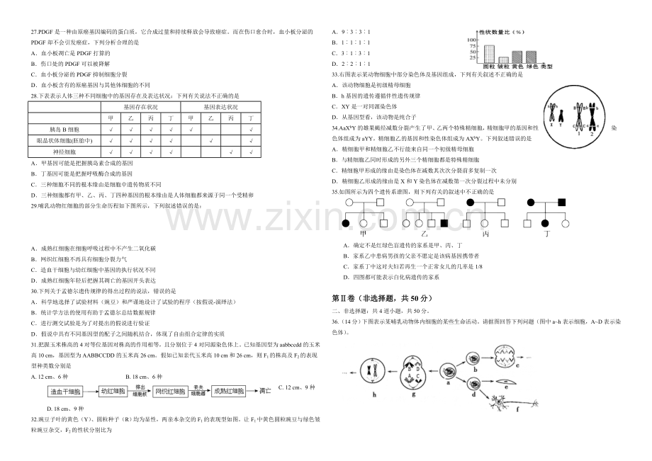 辽宁省沈阳二中2020-2021学年高二上学期12月月考试题-生物-Word版含答案.docx_第3页