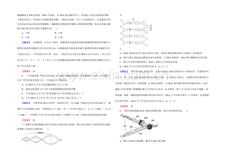 【名师金典】2022新课标高考生物总复习限时检测18DNA分子的结构、复制与基因的本质-.docx_第2页