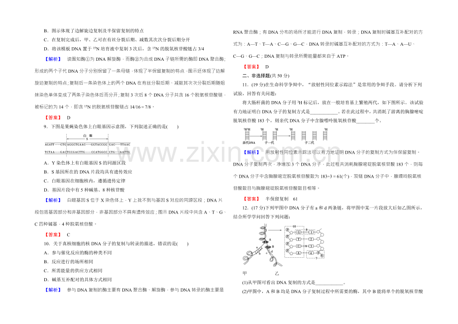 【名师金典】2022新课标高考生物总复习限时检测18DNA分子的结构、复制与基因的本质-.docx_第3页