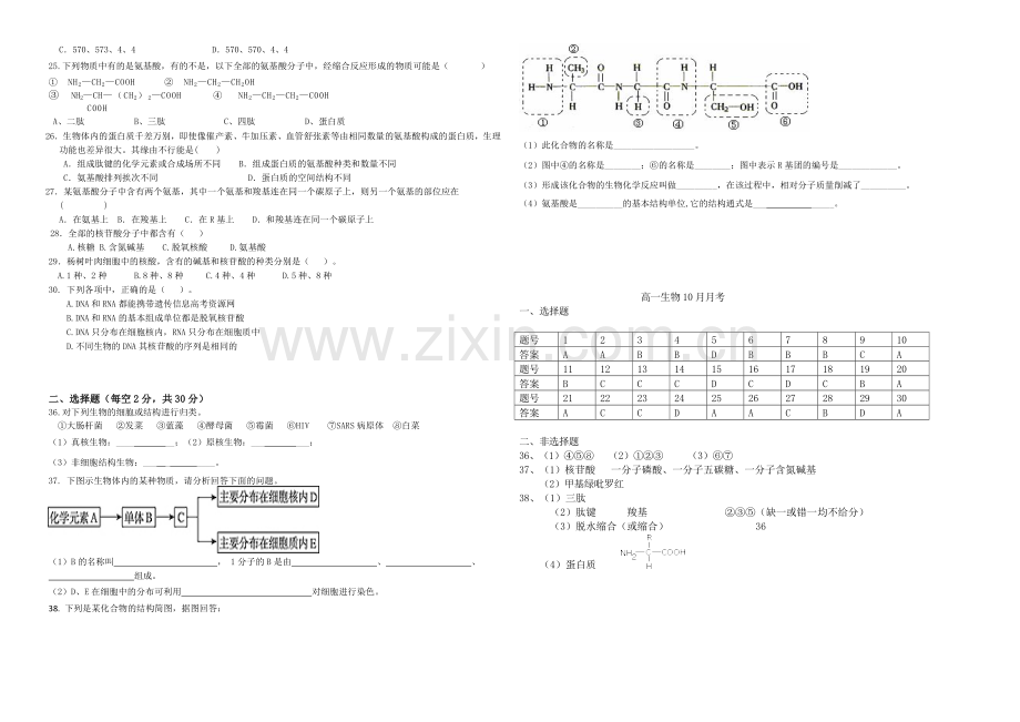 河南省洛阳八中2020-2021学年高一上学期10月月考试题-生物-Word版含答案.docx_第2页