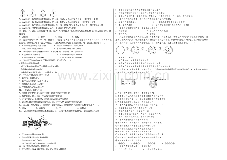 云南省昆明三中2020-2021学年高一上学期期中考试生物-Word版含答案.docx_第3页