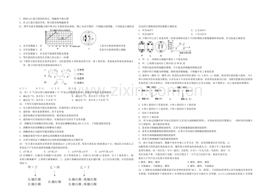 黑龙江省牡丹江一中2022届高三上学期9月月考试题-生物-Word版含答案.docx_第3页