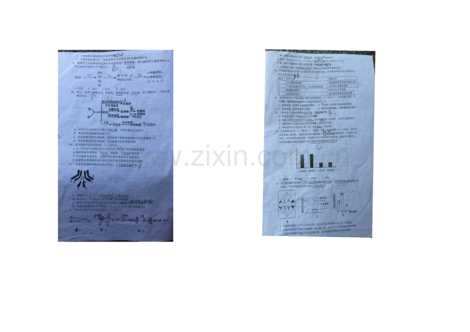 湖北省枣阳市枣阳二中2020-2021学年高二下学期期中考试生物试题扫描版含答案.docx_第2页