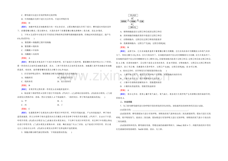 (人教版)生物必修1同步测试：第5章-细胞的能量供应与应用第3节-.docx_第2页