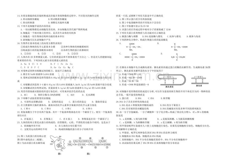 广东省深圳市高级中学2020—2021学年度高一上学期期中考试生物-Word版含答案.docx_第2页