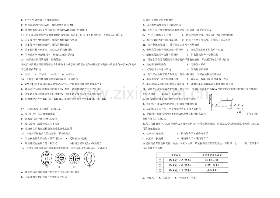 山东省潍坊市诸城一中2021届高三上学期10月考生物试题word版含答案.docx_第2页