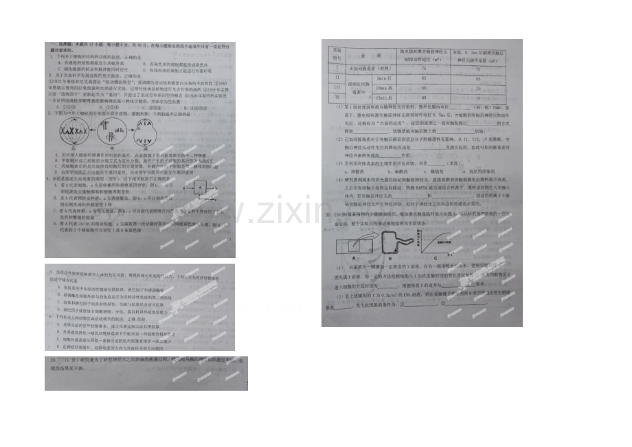 江西省吉安市第一中学2021届高三下学期第八次周考生物试题(扫描版).docx_第1页