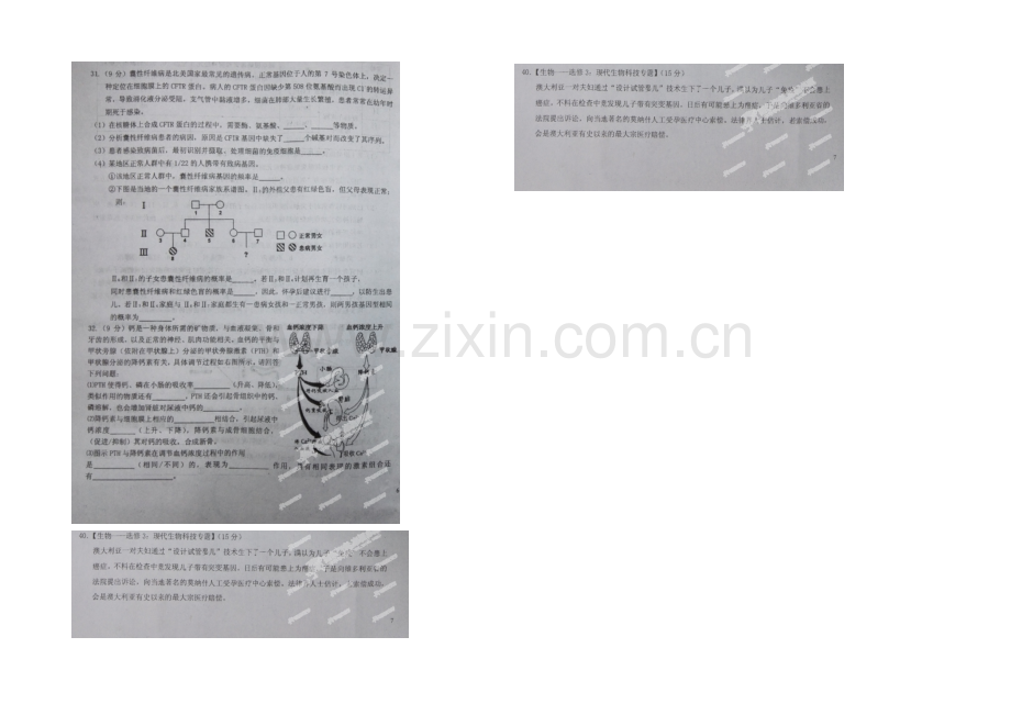 江西省吉安市第一中学2021届高三下学期第八次周考生物试题(扫描版).docx_第2页