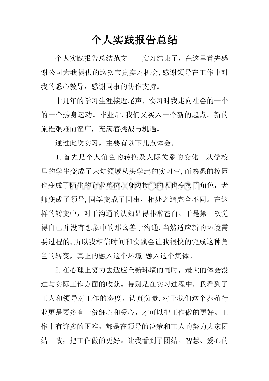 个人实践报告总结.docx_第1页