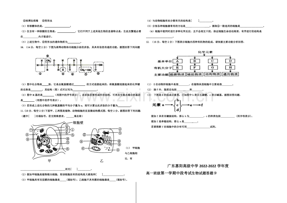 广东省惠阳高级中学2020-2021学年高一上学期期中考试生物试题-Word版含答案.docx_第2页