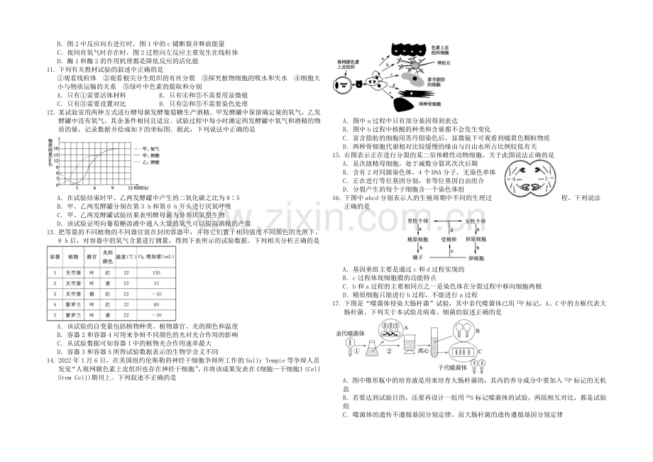 吉林省吉林一中2021届高三“教与学”质量检测1-生物-Word版含答案.docx_第2页