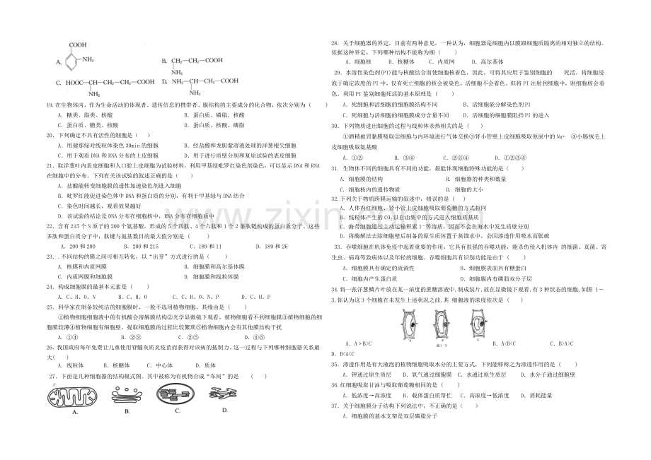 甘肃省天水市2021届高三第二次联考生物试题Word版含答案.docx_第2页