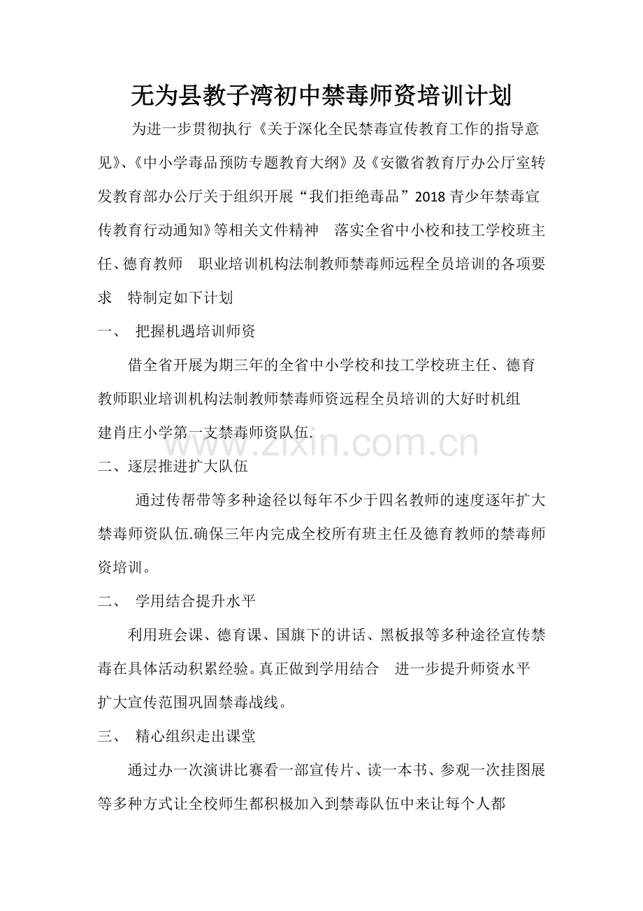 无为县教子湾初中禁毒师资培训计划.docx_第1页