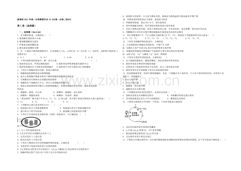 新课标2021年高一生物暑假作业10《必修一必修二综合》.docx_第1页